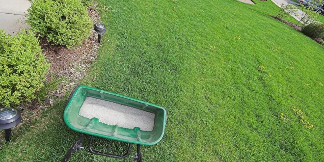 Best Fertilizer Spreader For Lawns